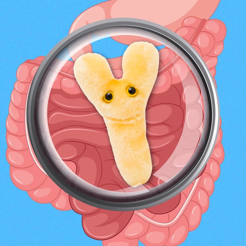 Giant Microbes Bifidobacterium Longum Plush - Image 4